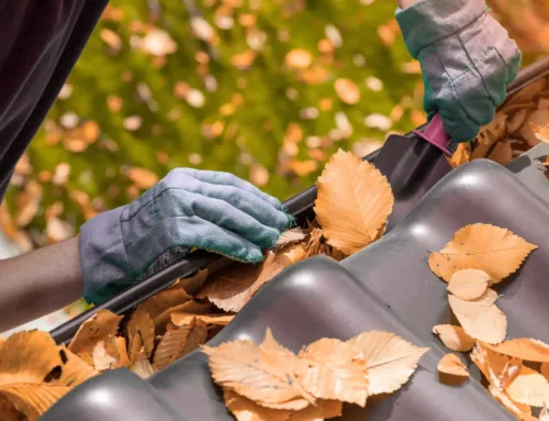 Why Gutter Cleaning and Roof Drainage Matter This Time of Year