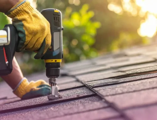 Identifying the Most Common Problem With Roof Shingles and Why Early Repairs Matter