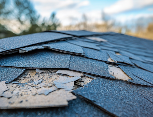 The Most Common Roof Problems in Southington, CT Every Homeowner Should Know Before They Worsen